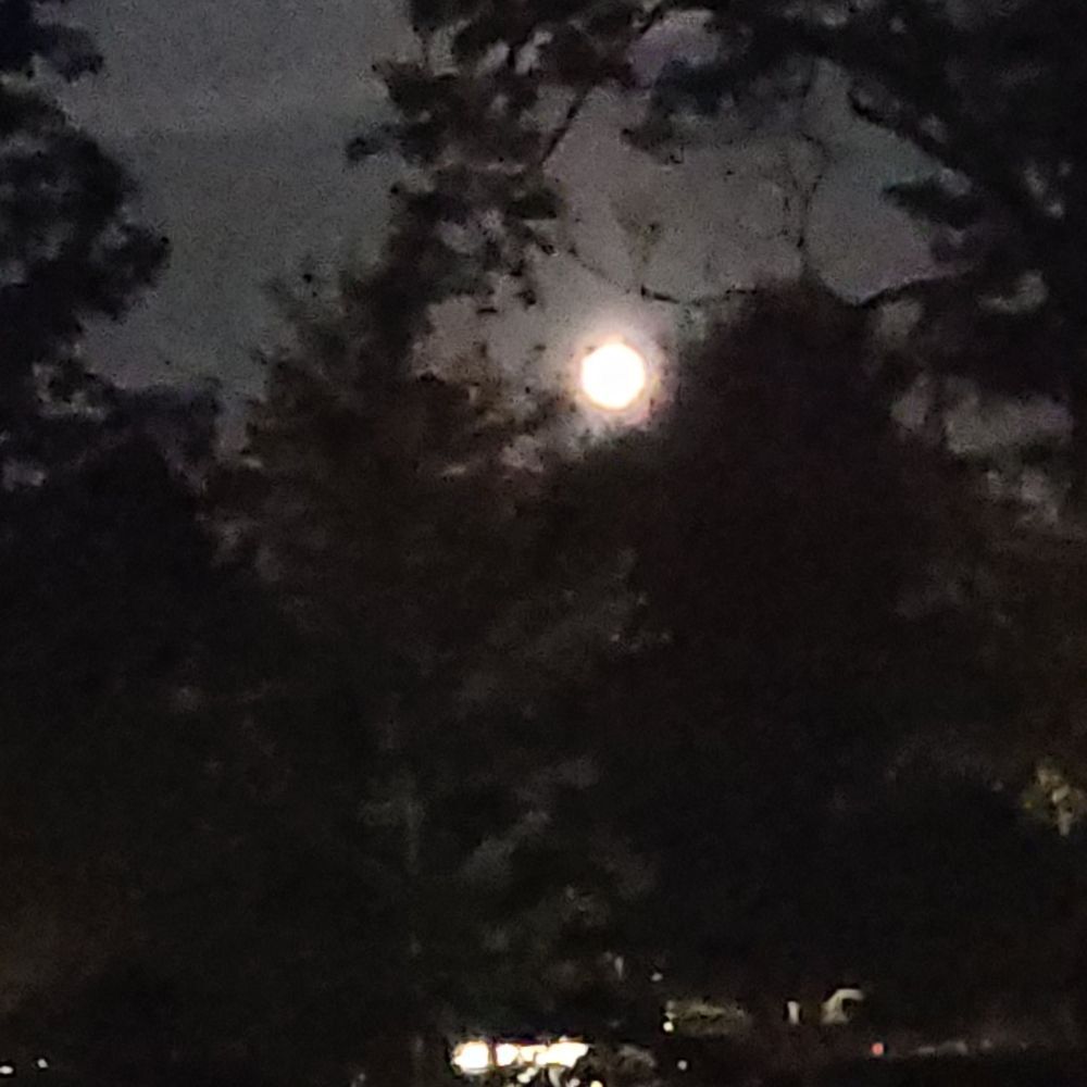 This appears to be‎ a nature/landscape photo rather than a product listing